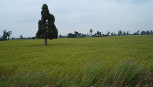 ที่ดินใกล้สะพานมิตรภาพไทย-ลาว