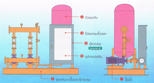 ส่วนประกอบชุดปั๊มน้ำอัตโนมัติ (Booster Pump)