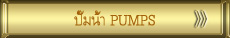 ปั๊มน้ำ Pumps